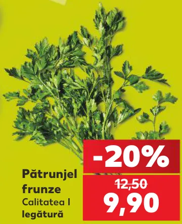 Pătrunjel frunze, calitatea I, legătură