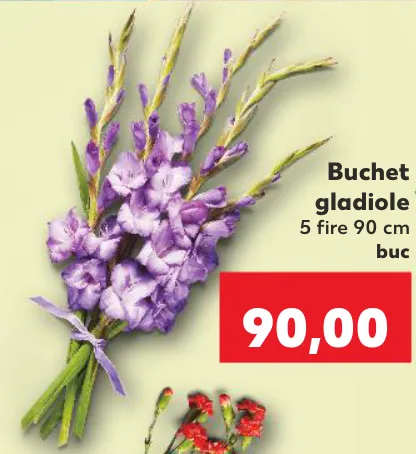 Buchet de gladiole