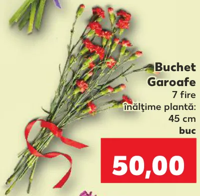 Buchet de garoafe