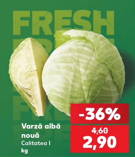 Varză albă nouă