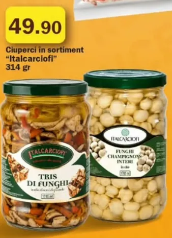 Грибы в ассортименте «Italcarciofi», 314 г