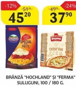 Brânză HOCHLAND Special Paste, 100 g