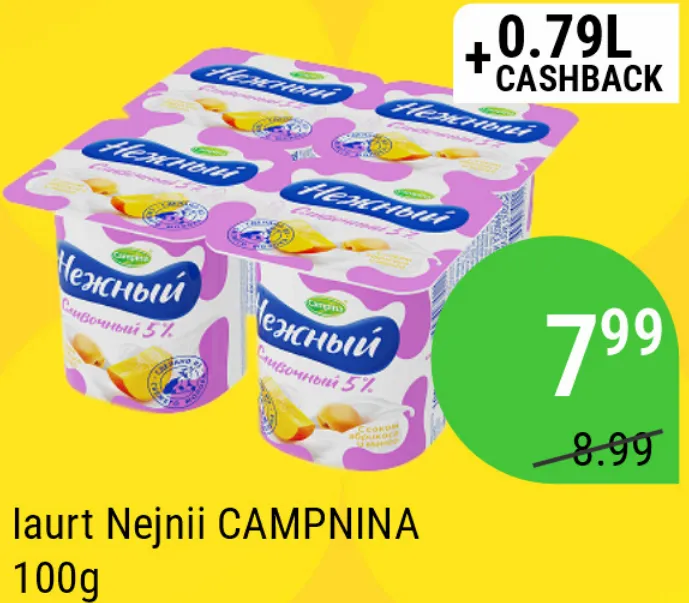 Йогурт CAMPINA «Нежный», 100 г
