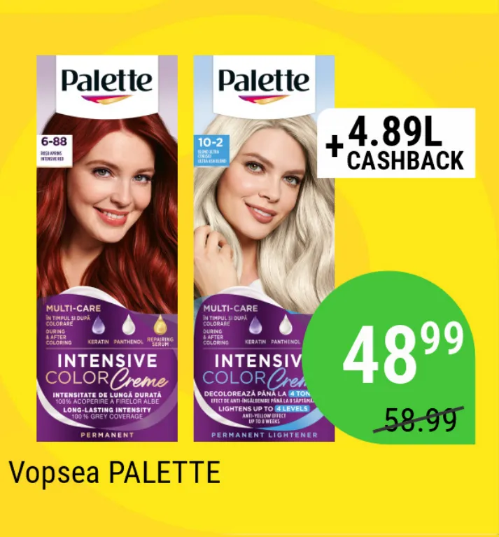 Vopsea de păr PALETTE, nuanțele 6-88/10-2