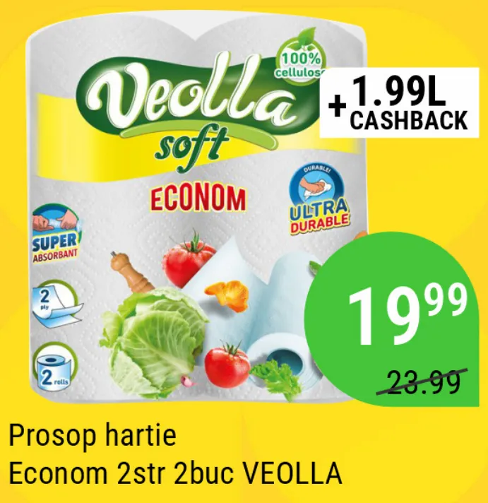 Бумажные полотенца VEOLLA Econom, 2 слоя, 2 шт.