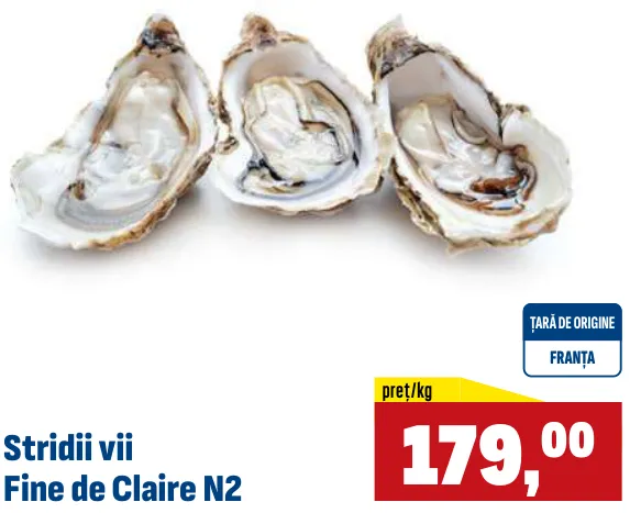 Живые устрицы Fine de Claire N2