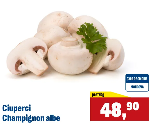 Ciuperci champignon albe