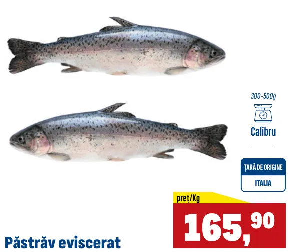 Păstrăv eviscerat