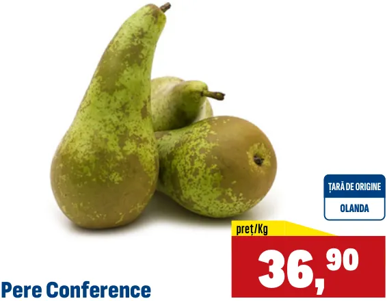 Pere Conference