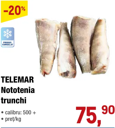 Тушка нототении