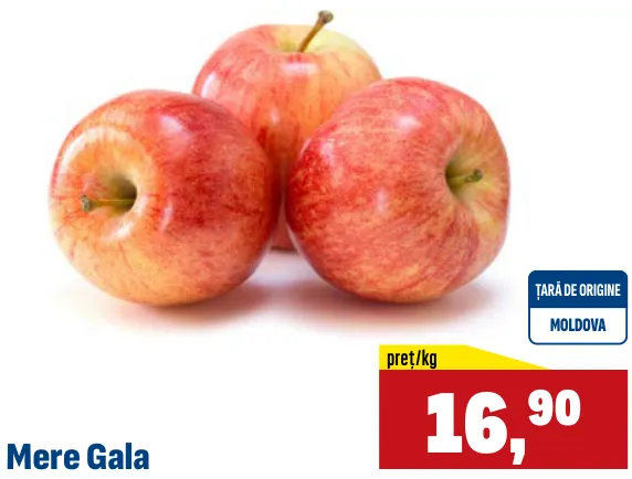 Mere Gala