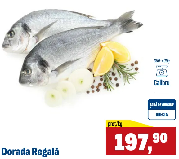 Dorada Regală, 1 kg