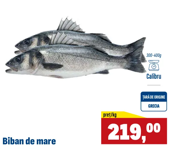 Biban de mare, 1 kg
