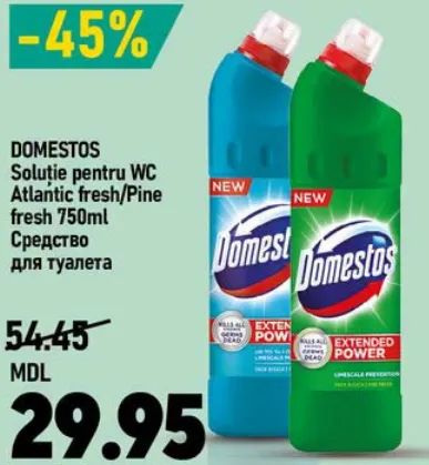 DOMESTOS Засіб для туалету Atlantic Fresh / Pine Fresh, 750 мл