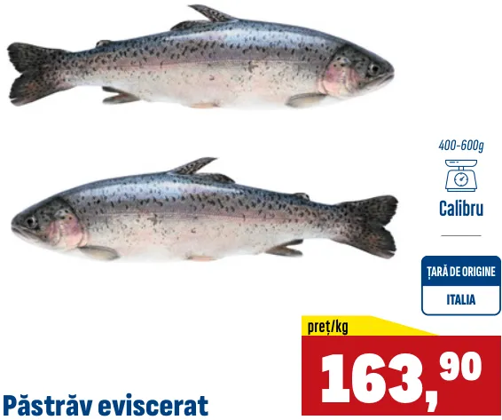 Păstrăv eviscerat, 400–600 g