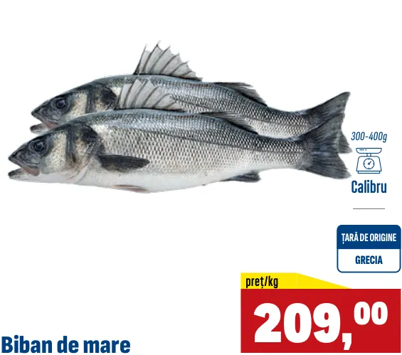 Biban de mare