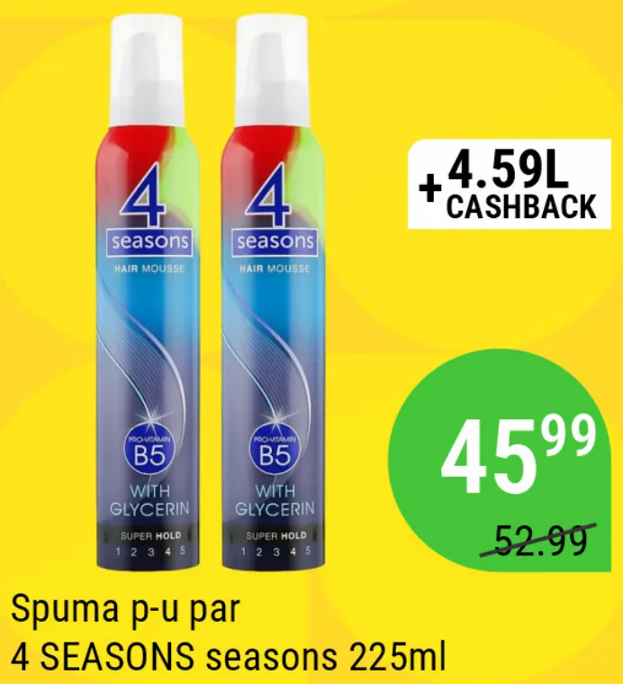 Spumă pentru păr 4 SEASONS seasons