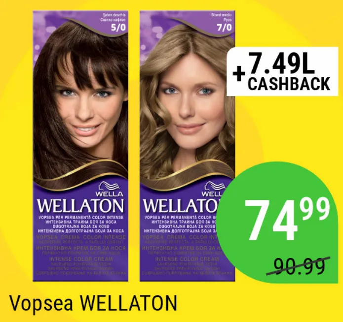 Vopsea WELLATON