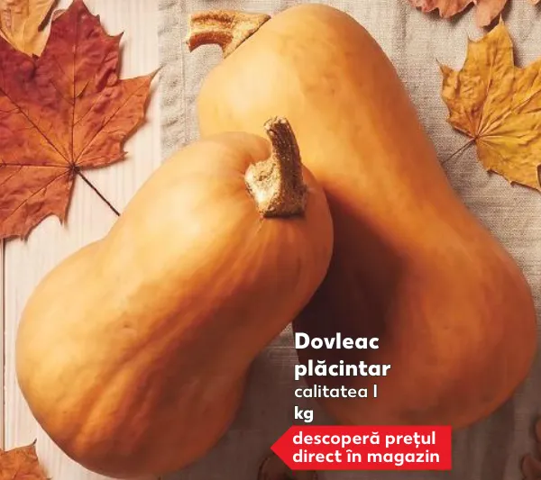 Dovleac plăcintar 1 kg