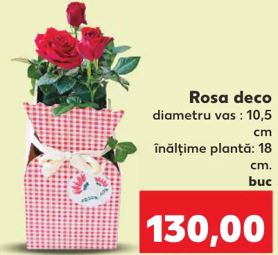 Rosa deco, 1 buc