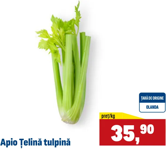 Стеблевой сельдерей апио, 1 кг