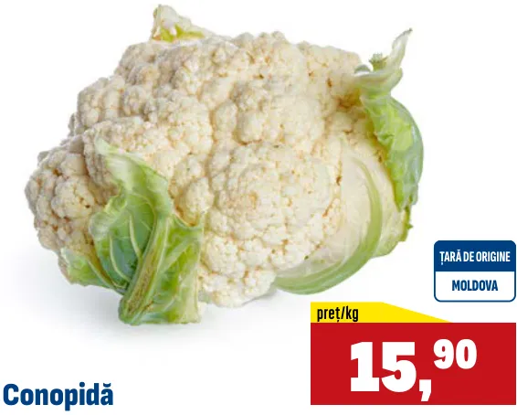 Conopidă, 1 kg