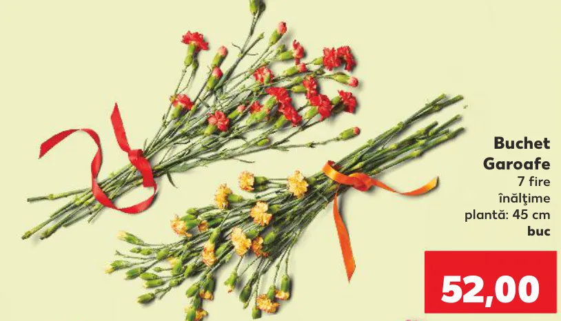 Buchet Garoafe
