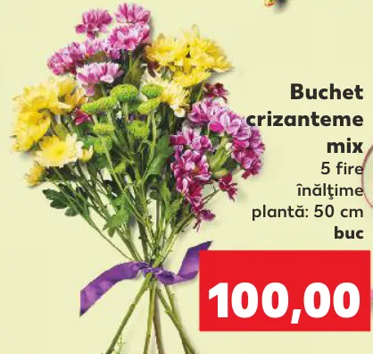 Buchet crizanteme mix