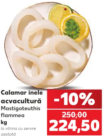Кільця кальмара, 1 kg