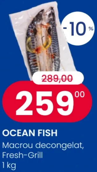 Ocean Fish Macrou decongelat, Fresh-Grill, 1 kg