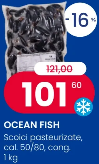 OCEAN FISH Scoici pasteurizate, calibrul 50/80, congelate, 1 kg