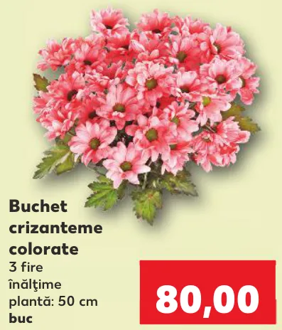 Buchet crizanteme colorate