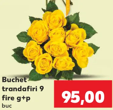 Buchet trandafiri 9 fire g+p