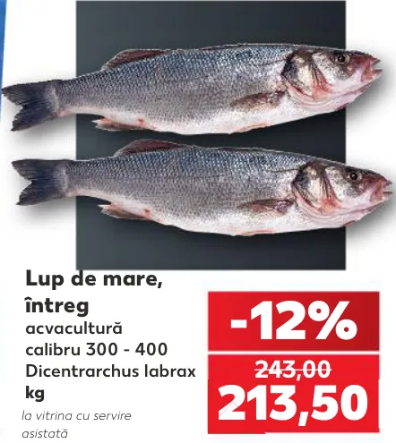 Lup de mare, întreg, kg