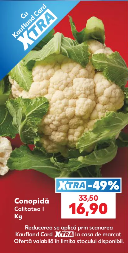 Conopidă, 1 kg