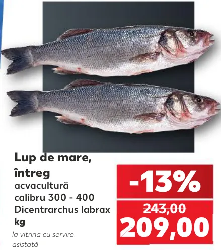 Lup de mare, întreg, 1 kg