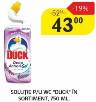Soluție pentru WC Duck în sortiment, 750 ml