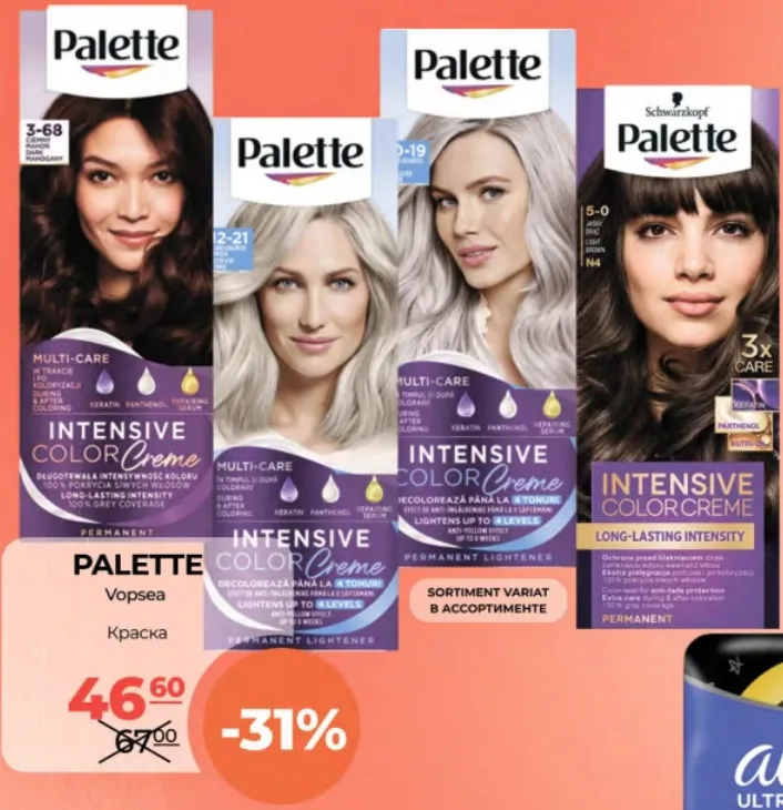PALETTE Фарба для волосся